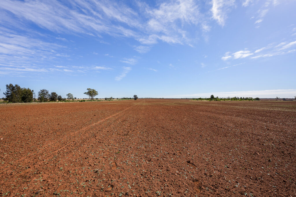 For Sale - 4229 Bobadah Road - New Property in Bobadah - Real Estate by Scott Petersen