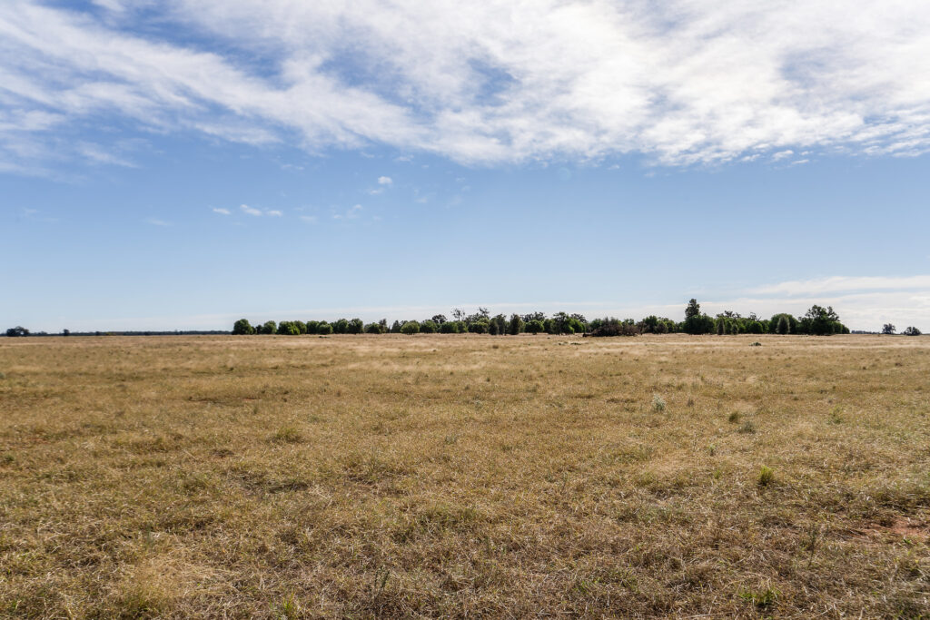 For Sale - 4229 Bobadah Road - New Property in Bobadah - Real Estate by Scott Petersen