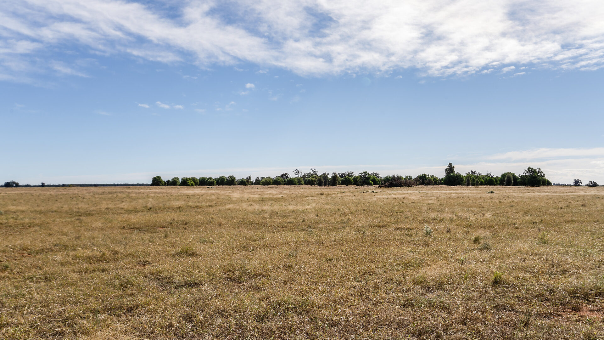 For Sale - 4229 Bobadah Road - New Property in Bobadah - Real Estate by Scott Petersen