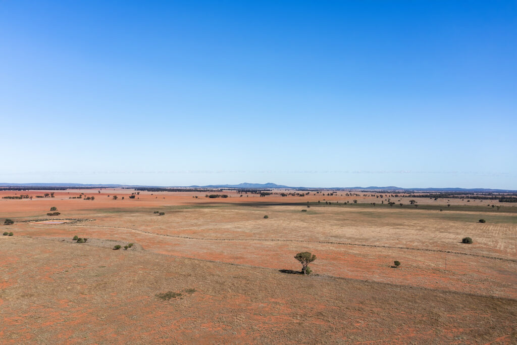 For Sale - 4229 Bobadah Road - New Property in Bobadah - Real Estate by Scott Petersen