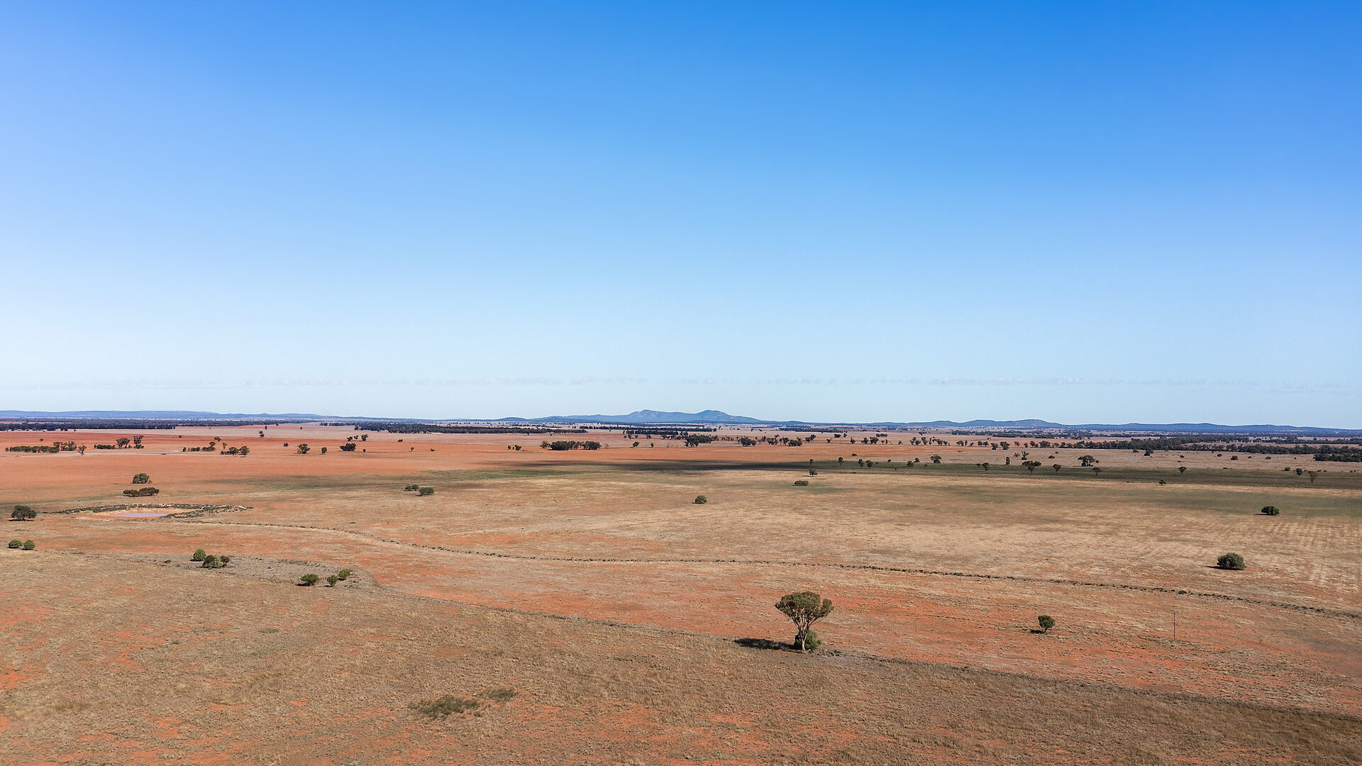 For Sale - 4229 Bobadah Road - New Property in Bobadah - Real Estate by Scott Petersen