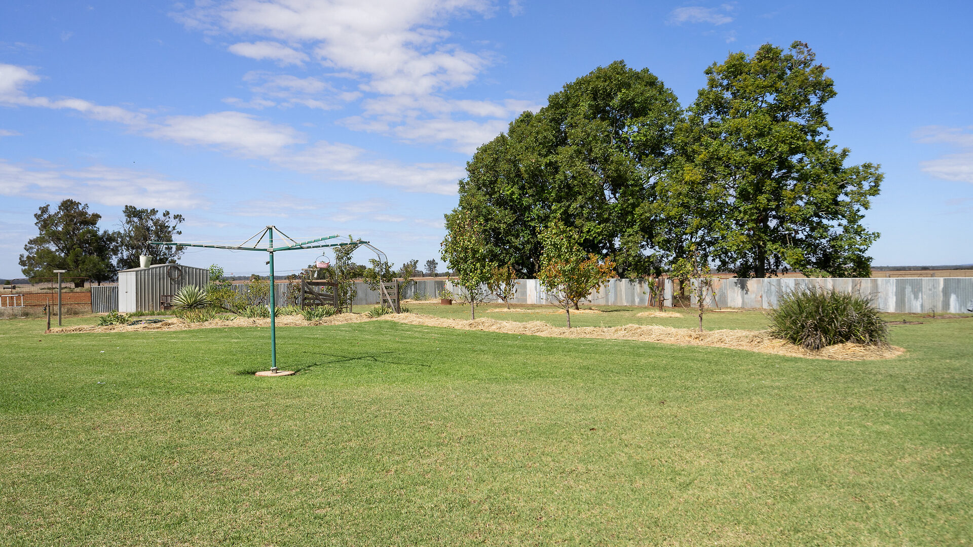 For Sale - 4229 Bobadah Road - New Property in Bobadah - Real Estate by Scott Petersen