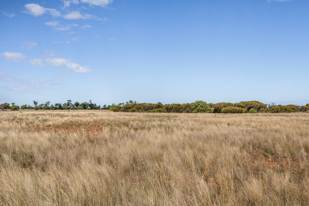 For Sale - 4229 Bobadah Road - New Property in Bobadah - Real Estate by Scott Petersen