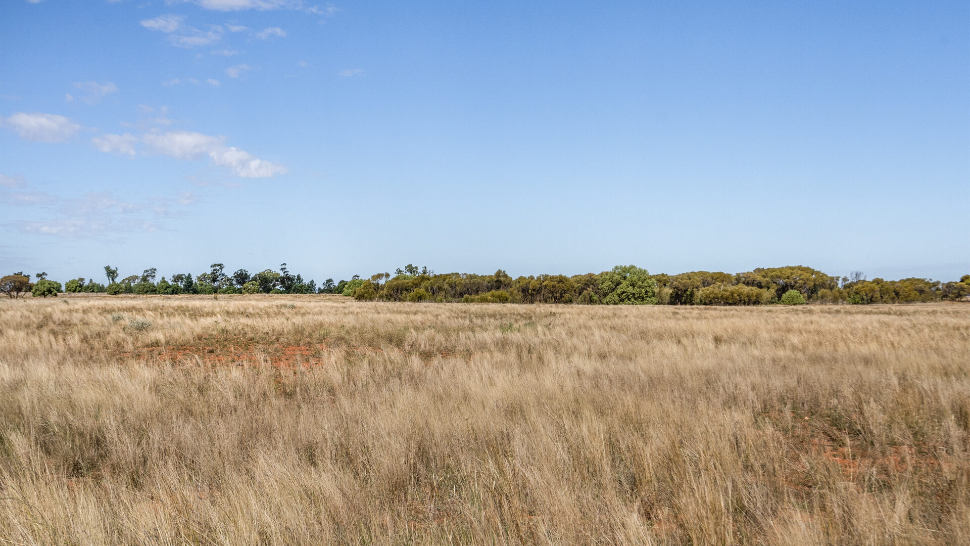 For Sale - 4229 Bobadah Road - New Property in Bobadah - Real Estate by Scott Petersen