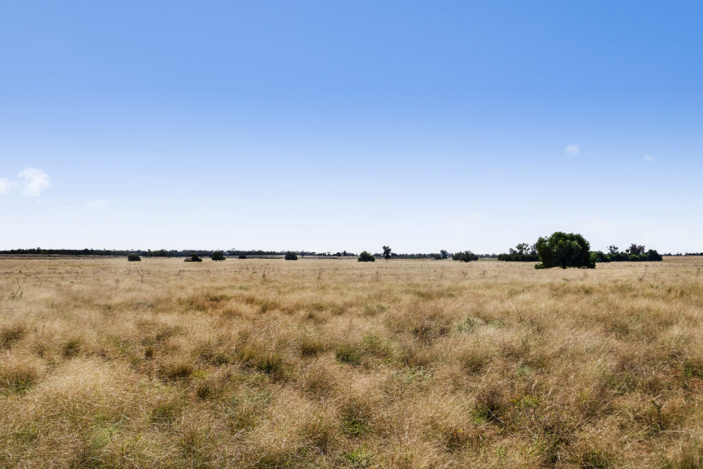 For Sale - 4229 Bobadah Road - New Property in Bobadah - Real Estate by Scott Petersen