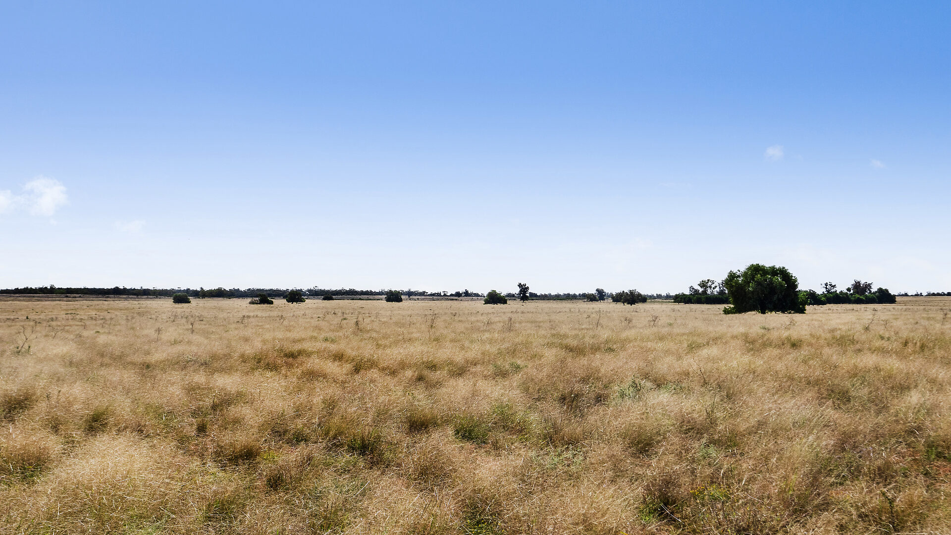 For Sale - 4229 Bobadah Road - New Property in Bobadah - Real Estate by Scott Petersen