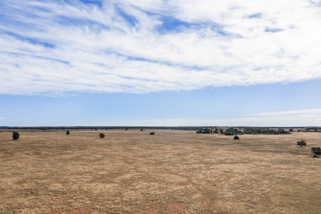 For Sale - 4229 Bobadah Road - New Property in Bobadah - Real Estate by Scott Petersen