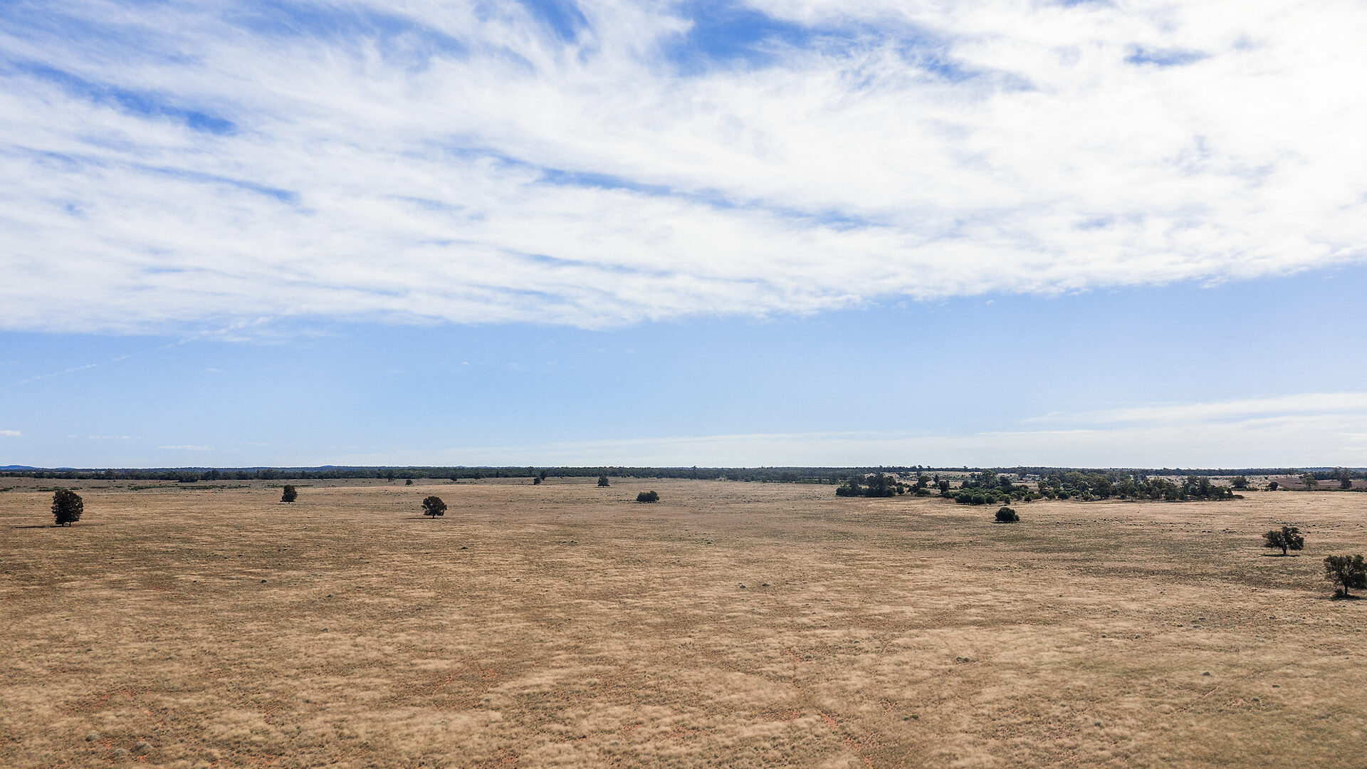 For Sale - 4229 Bobadah Road - New Property in Bobadah - Real Estate by Scott Petersen
