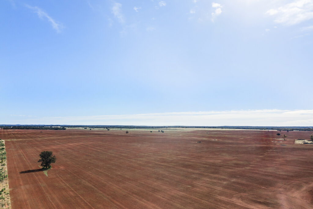 For Sale - 4229 Bobadah Road - New Property in Bobadah - Real Estate by Scott Petersen