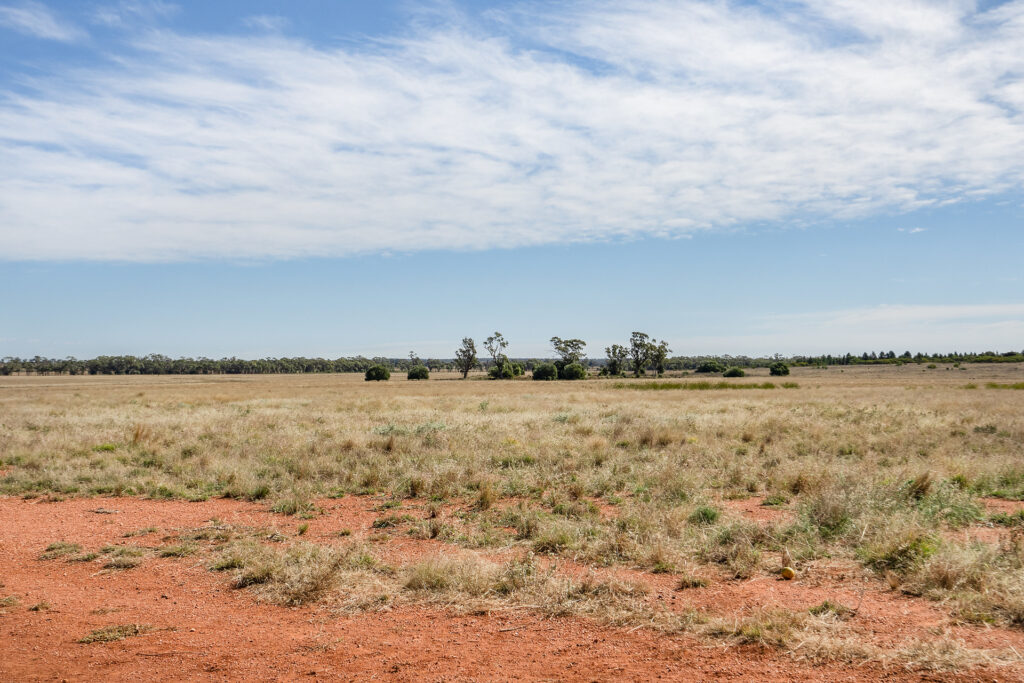 For Sale - 4229 Bobadah Road - New Property in Bobadah - Real Estate by Scott Petersen