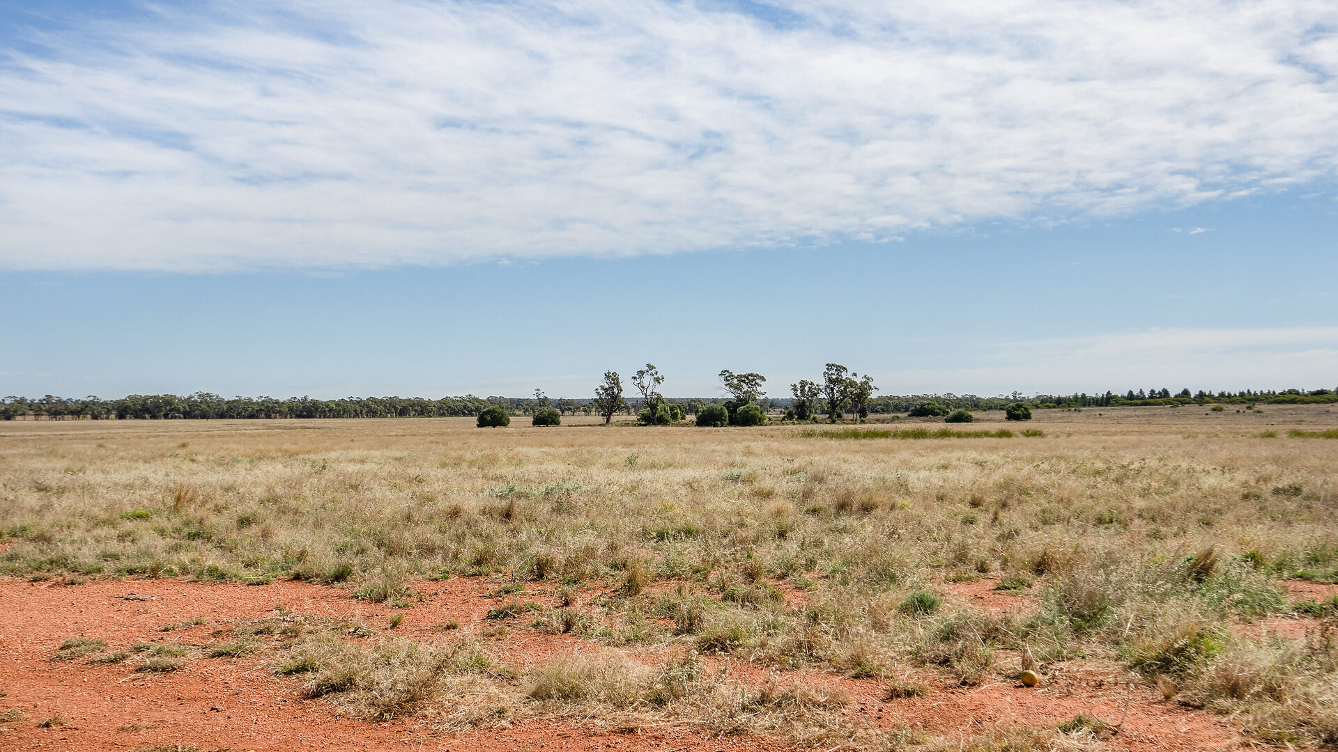 For Sale - 4229 Bobadah Road - New Property in Bobadah - Real Estate by Scott Petersen