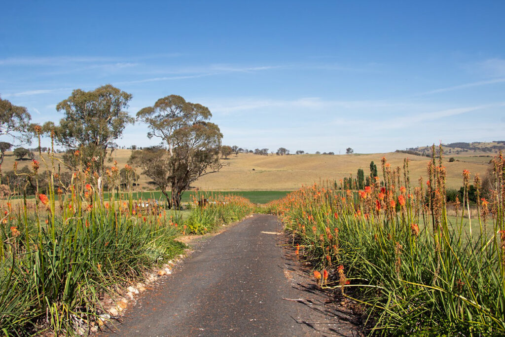 For Sale - 153 Triangle Flat Road - New Property in Rockley - Real Estate by Todd Houghton