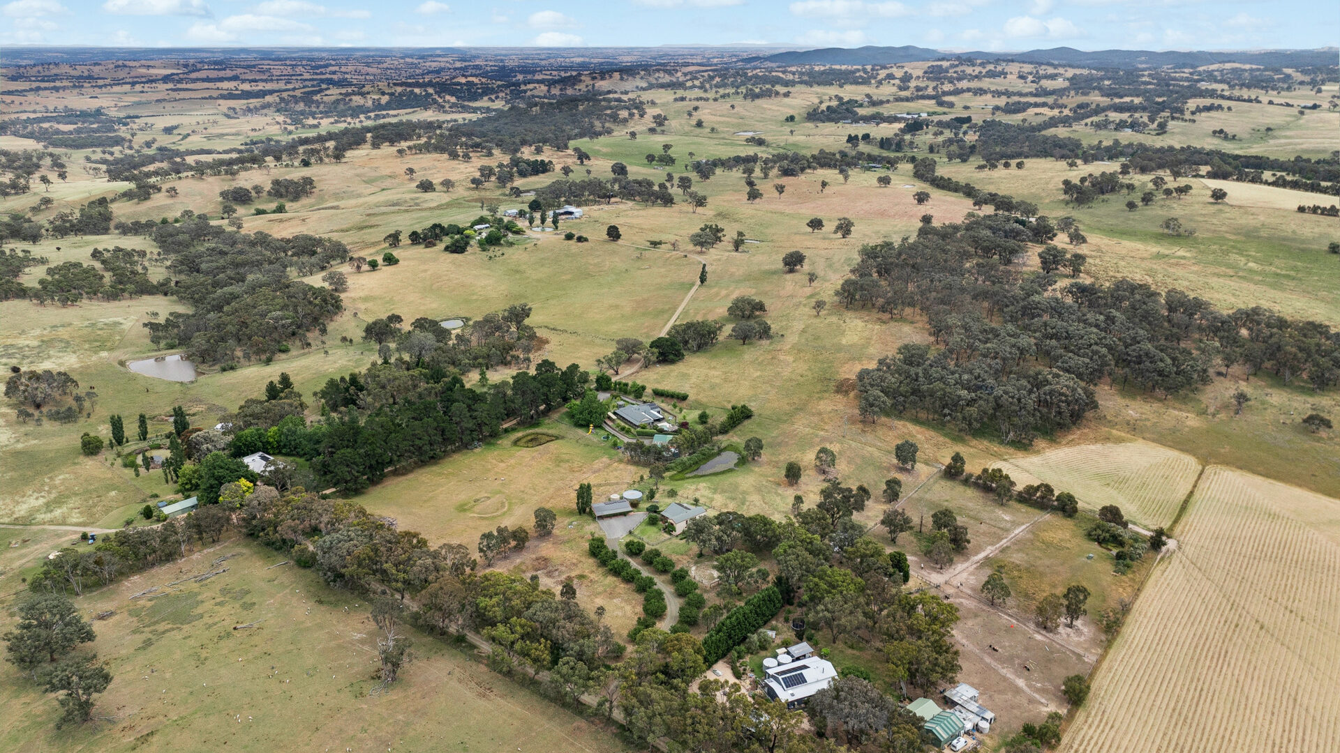 Sold - 98 McKay Road - New Property in Orange - Real Estate by Scott Petersen