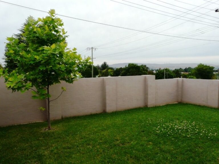 Sold - 237 Peel Street - New Property in Bathurst - Real Estate by 