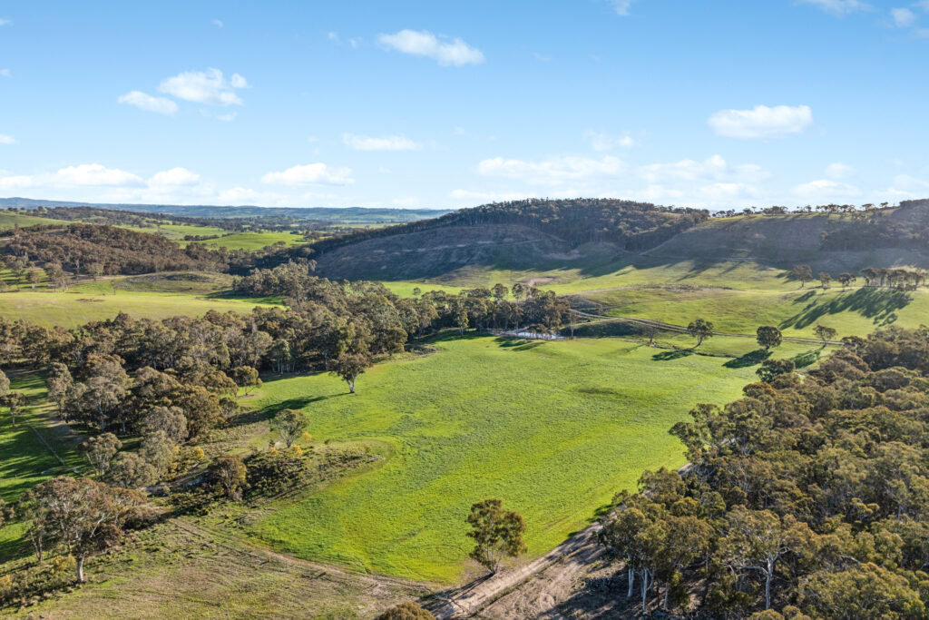 Sold - 318 Belgravia Road - New Property in Orange - Real Estate by Scott Petersen