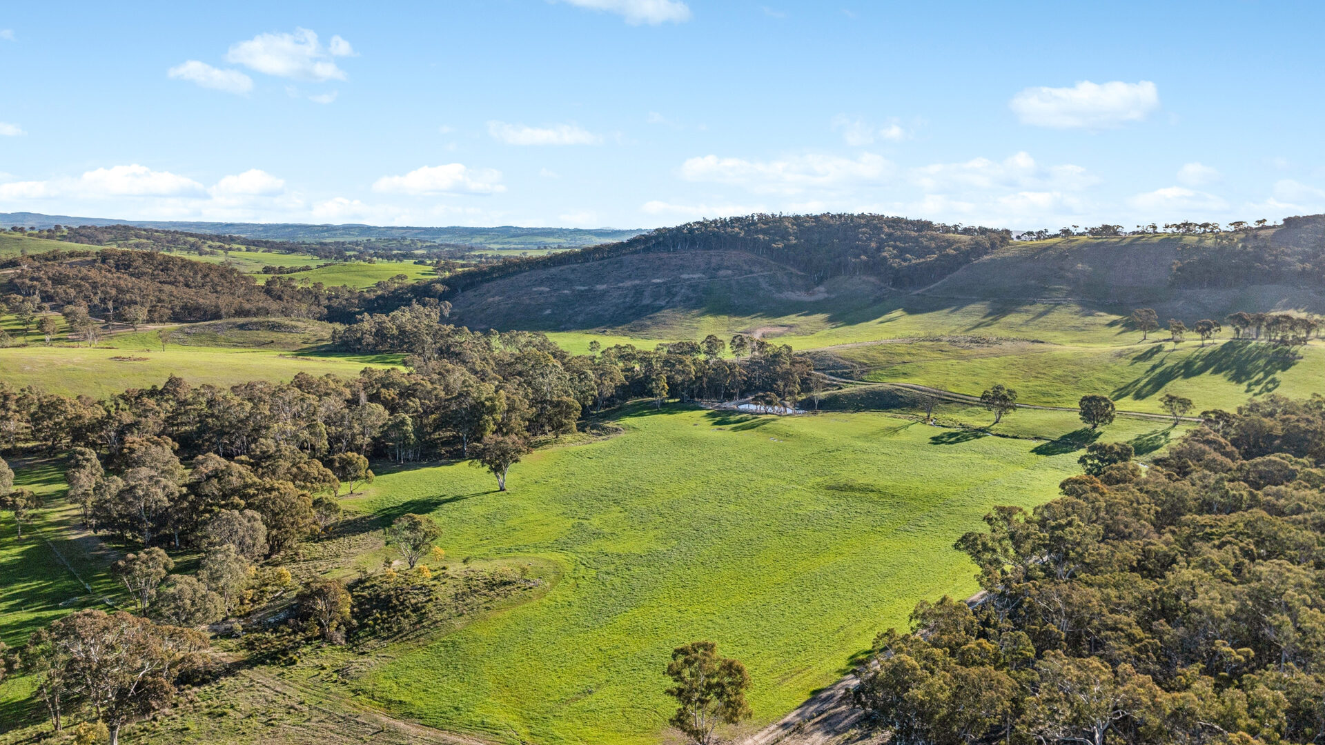 Sold - 318 Belgravia Road - New Property in Orange - Real Estate by Scott Petersen