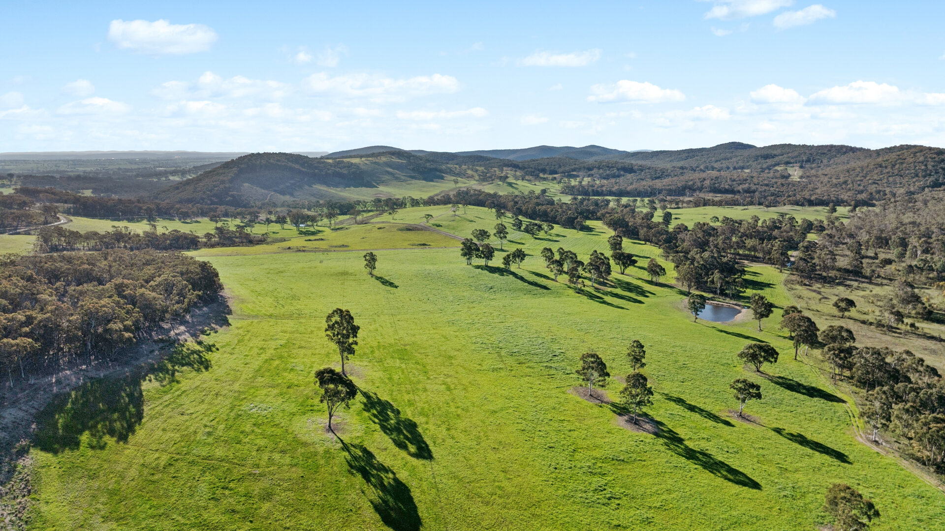 Sold - 318 Belgravia Road - New Property in Orange - Real Estate by Scott Petersen