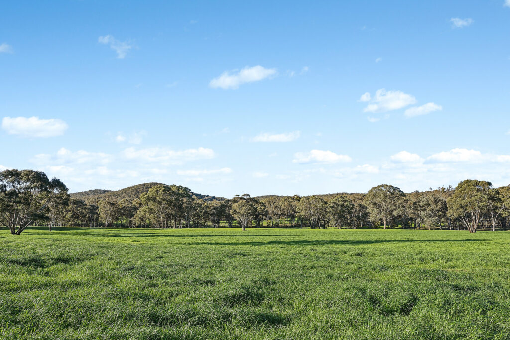 Sold - 318 Belgravia Road - New Property in Orange - Real Estate by Scott Petersen