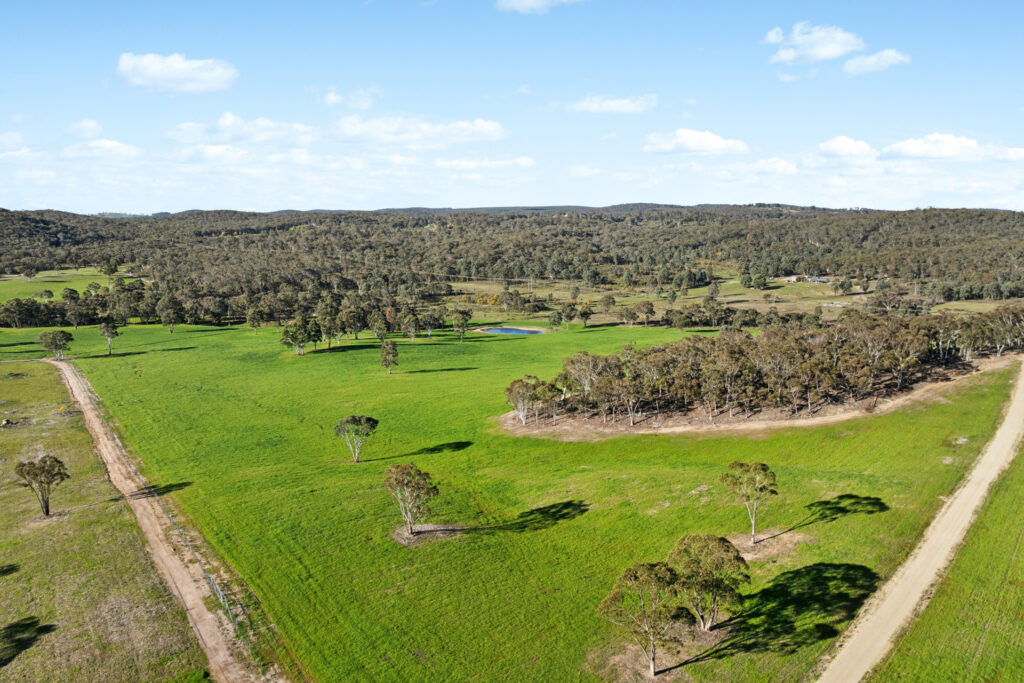 Sold - 318 Belgravia Road - New Property in Orange - Real Estate by Scott Petersen