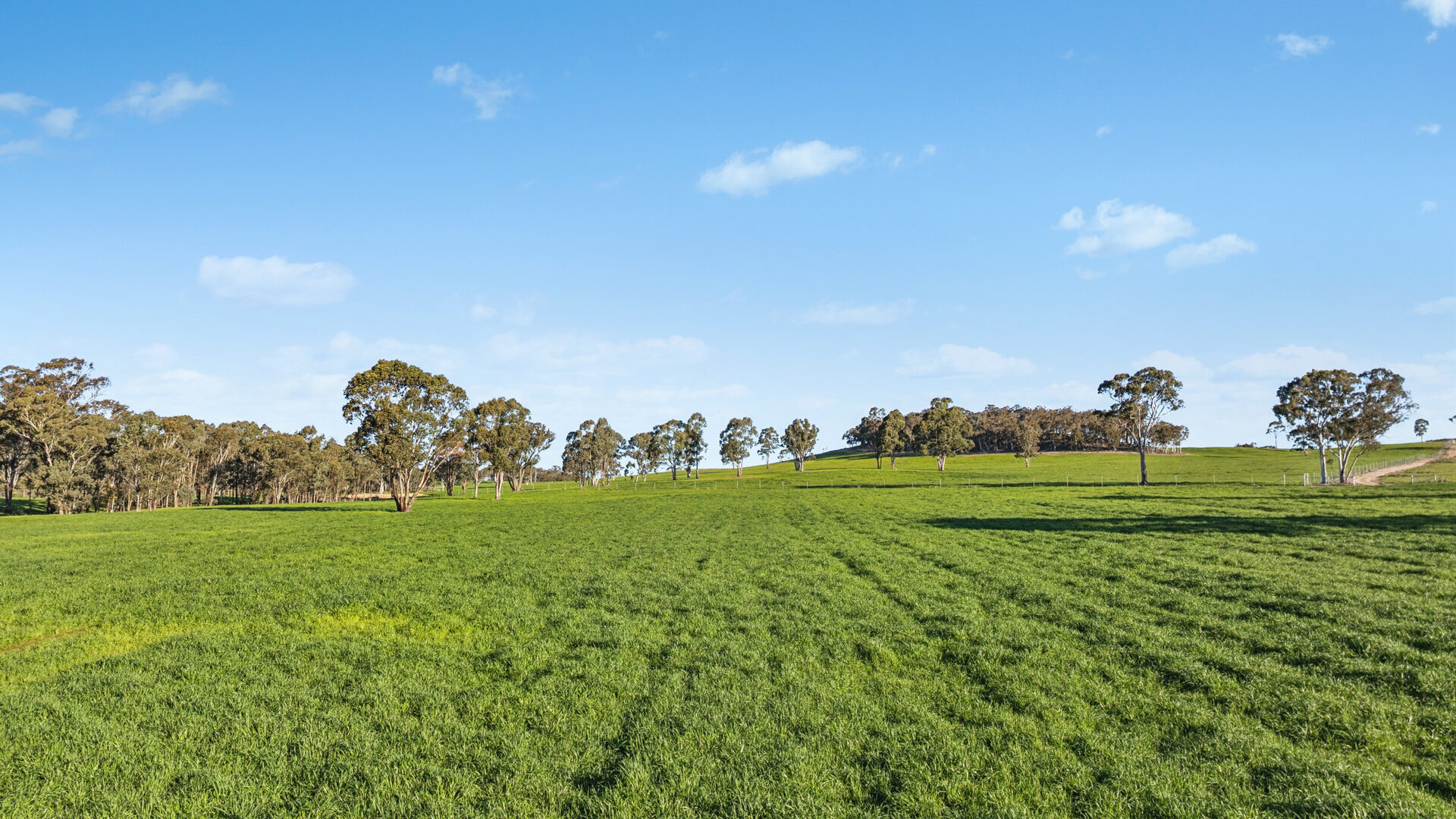 Sold - 318 Belgravia Road - New Property in Orange - Real Estate by Scott Petersen