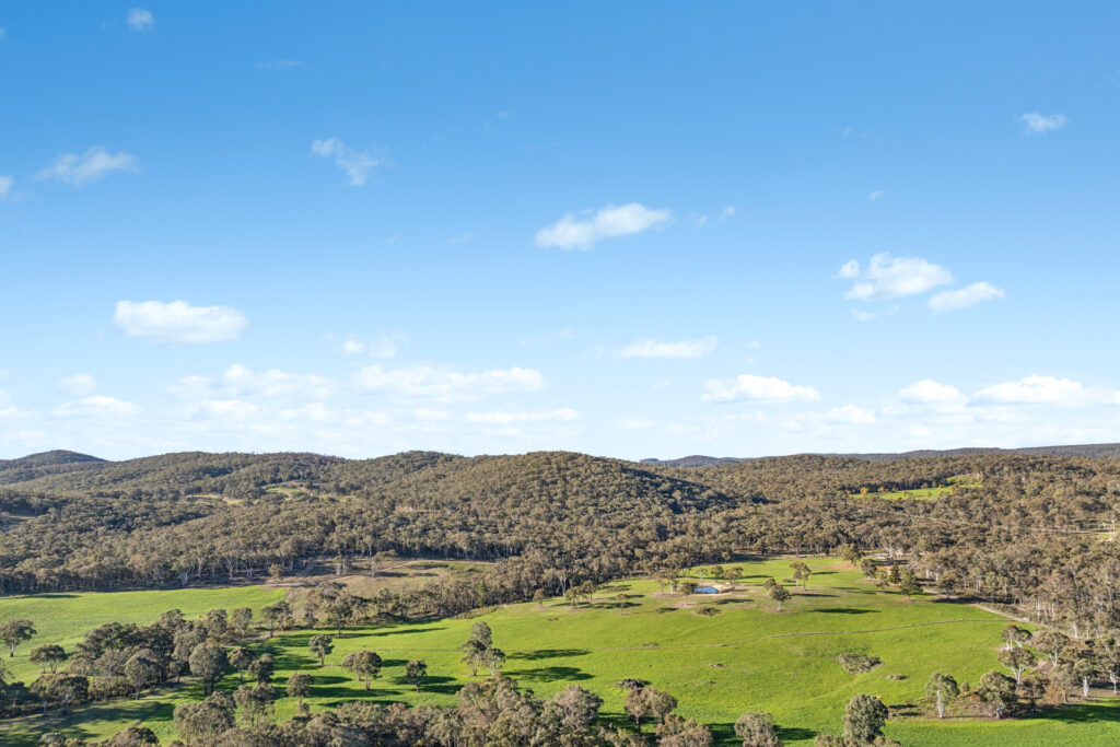 Sold - 318 Belgravia Road - New Property in Orange - Real Estate by Scott Petersen