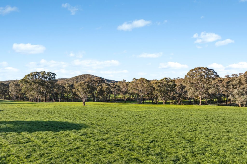 Sold - 318 Belgravia Road - New Property in Orange - Real Estate by Scott Petersen