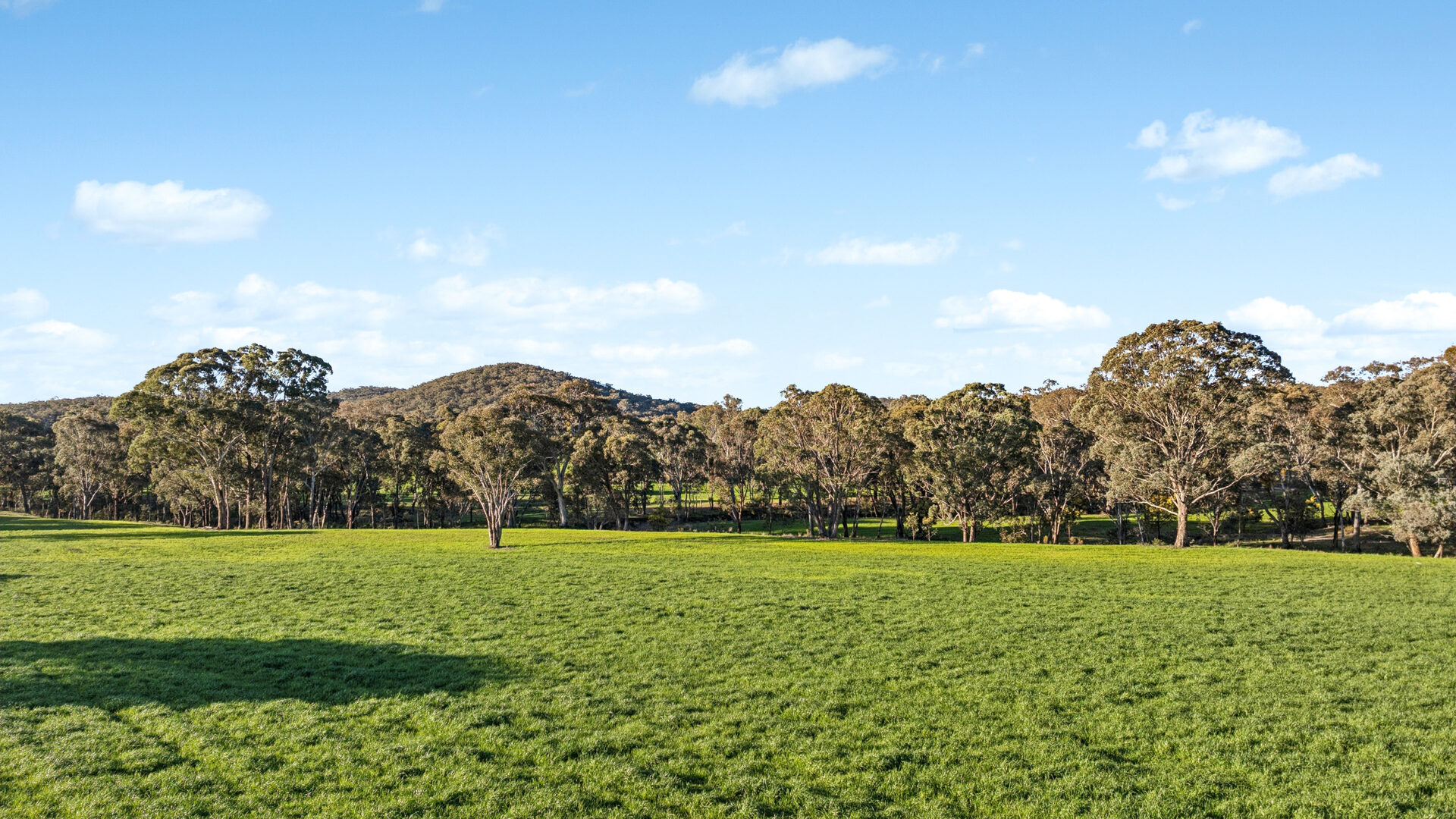 Sold - 318 Belgravia Road - New Property in Orange - Real Estate by Scott Petersen