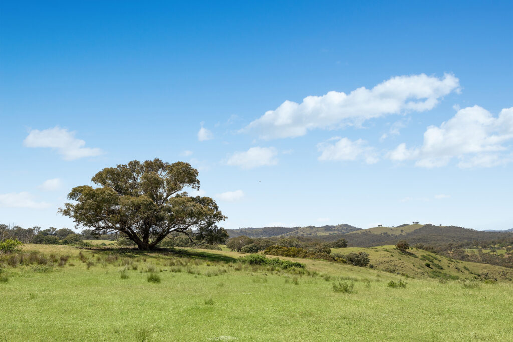 Sold - 2364 Ophir Road - New Property in Orange - Real Estate by Scott Petersen