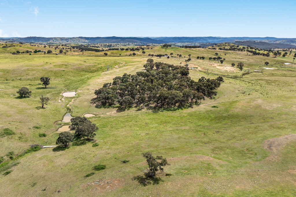 Sold - 2364 Ophir Road - New Property in Orange - Real Estate by Scott Petersen