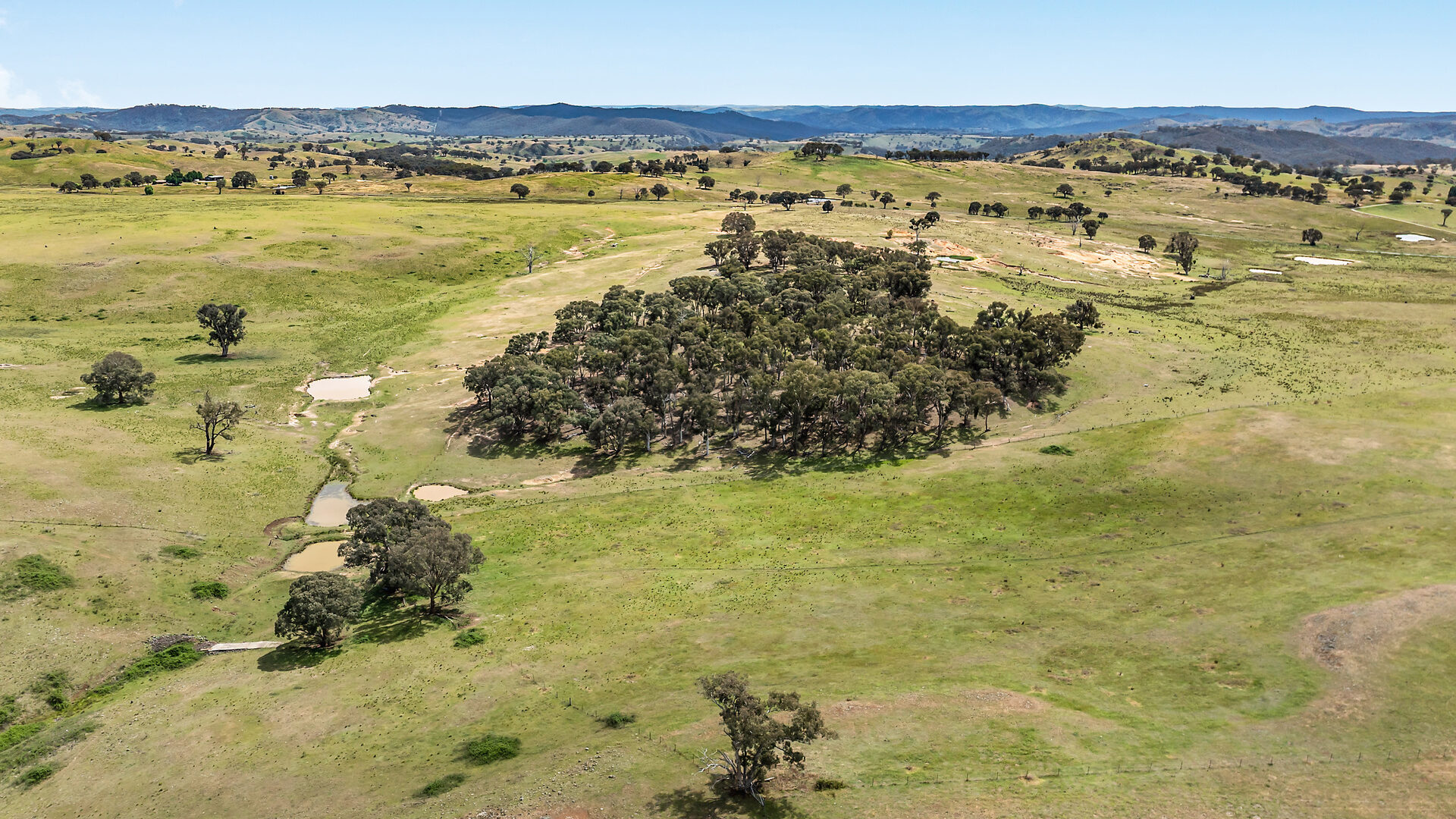 Sold - 2364 Ophir Road - New Property in Orange - Real Estate by Scott Petersen