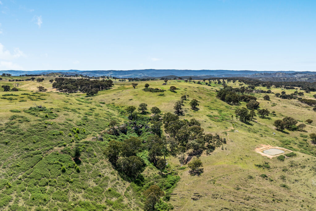 Sold - 2364 Ophir Road - New Property in Orange - Real Estate by Scott Petersen