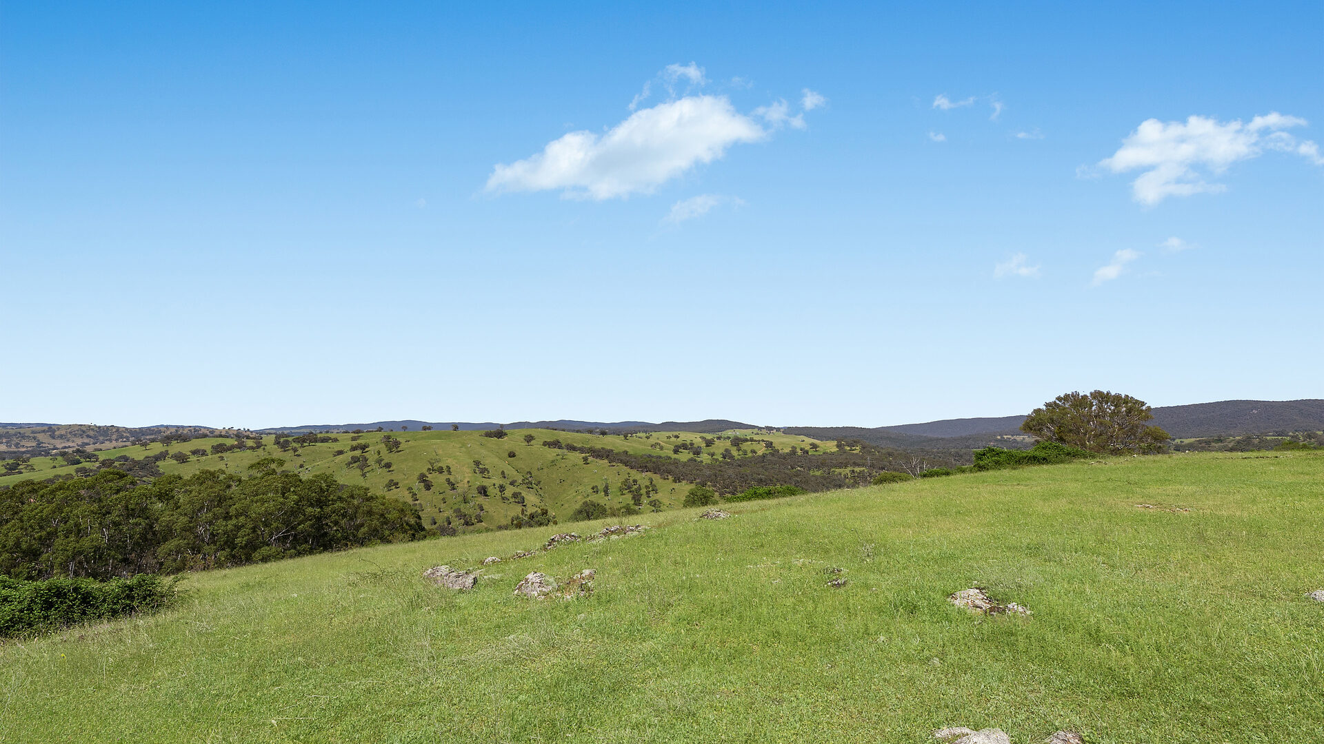 Sold - 2364 Ophir Road - New Property in Orange - Real Estate by Scott Petersen