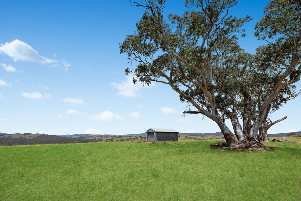 Sold - 2364 Ophir Road - New Property in Orange - Real Estate by Scott Petersen