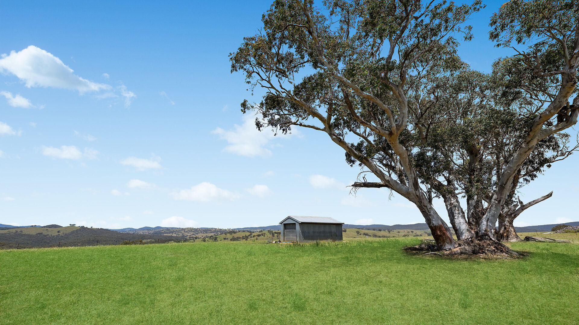 Sold - 2364 Ophir Road - New Property in Orange - Real Estate by Scott Petersen