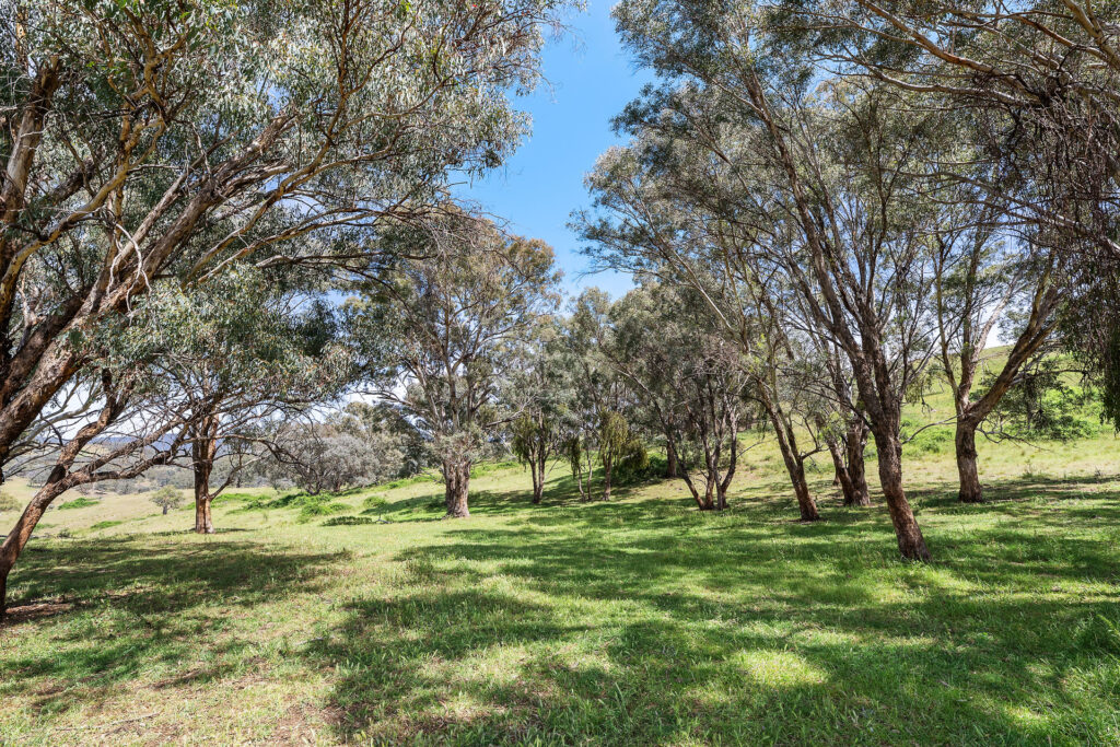 Sold - 2364 Ophir Road - New Property in Orange - Real Estate by Scott Petersen