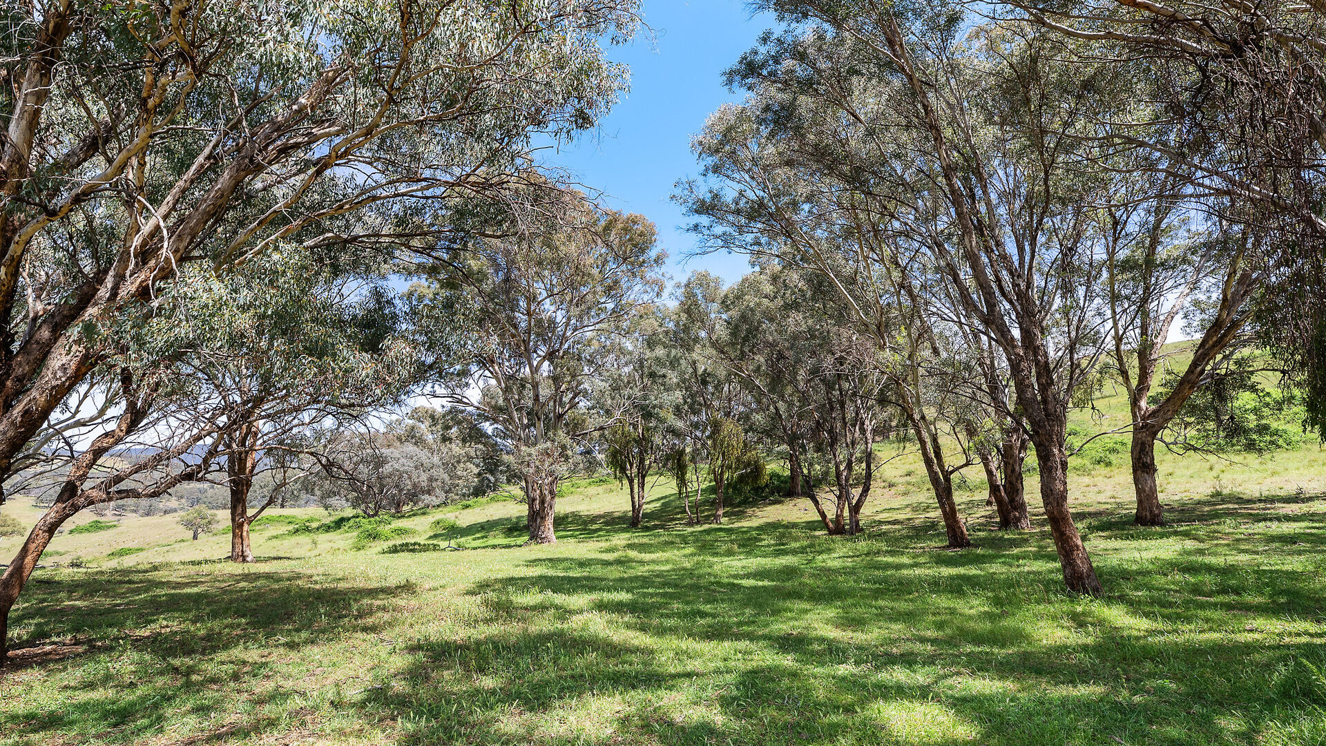 Sold - 2364 Ophir Road - New Property in Orange - Real Estate by Scott Petersen