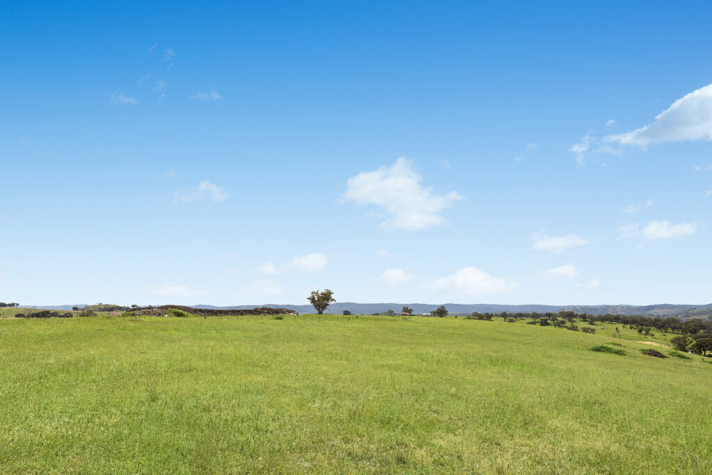 Sold - 2364 Ophir Road - New Property in Orange - Real Estate by Scott Petersen