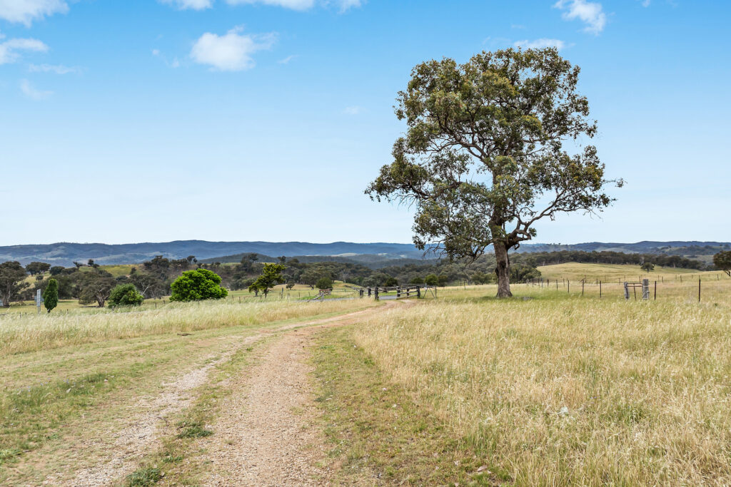 Sold - 2364 Ophir Road - New Property in Orange - Real Estate by Scott Petersen