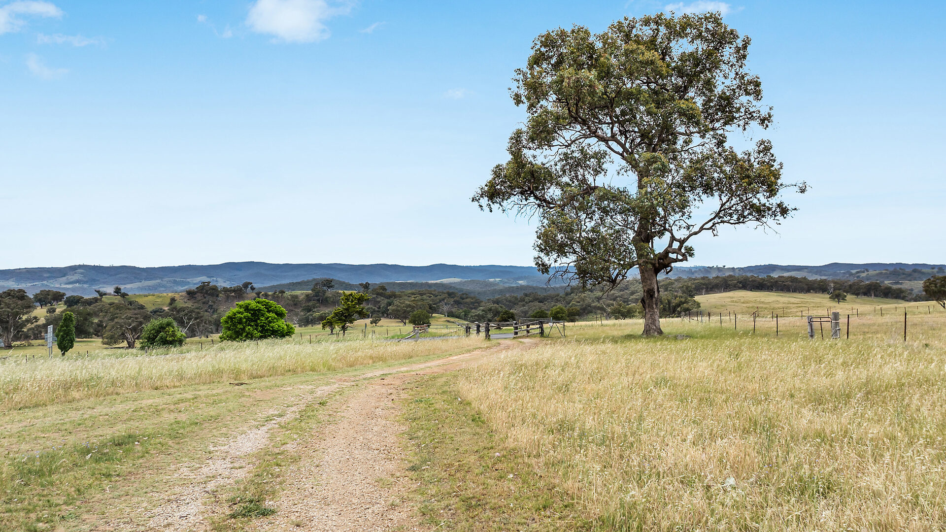 Sold - 2364 Ophir Road - New Property in Orange - Real Estate by Scott Petersen
