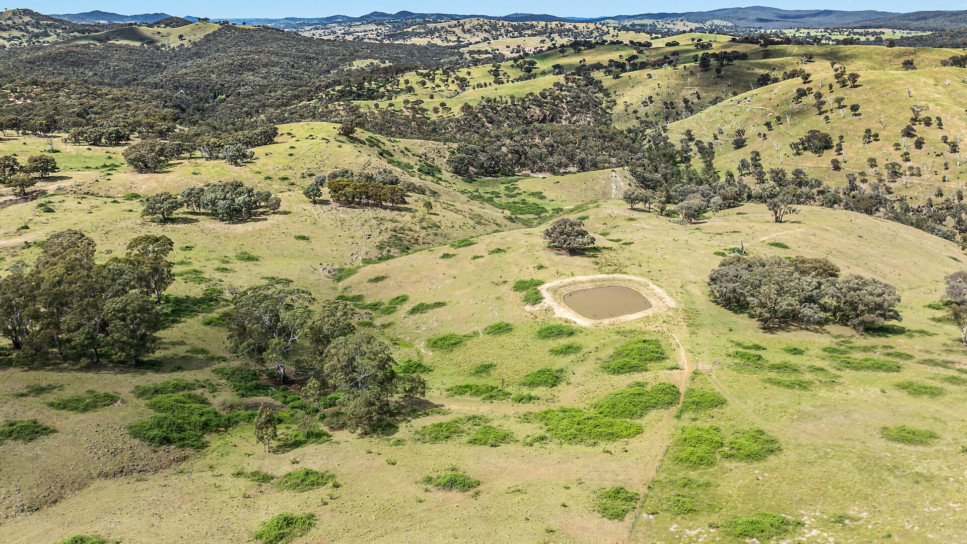 Sold - 2364 Ophir Road - New Property in Orange - Real Estate by Scott Petersen