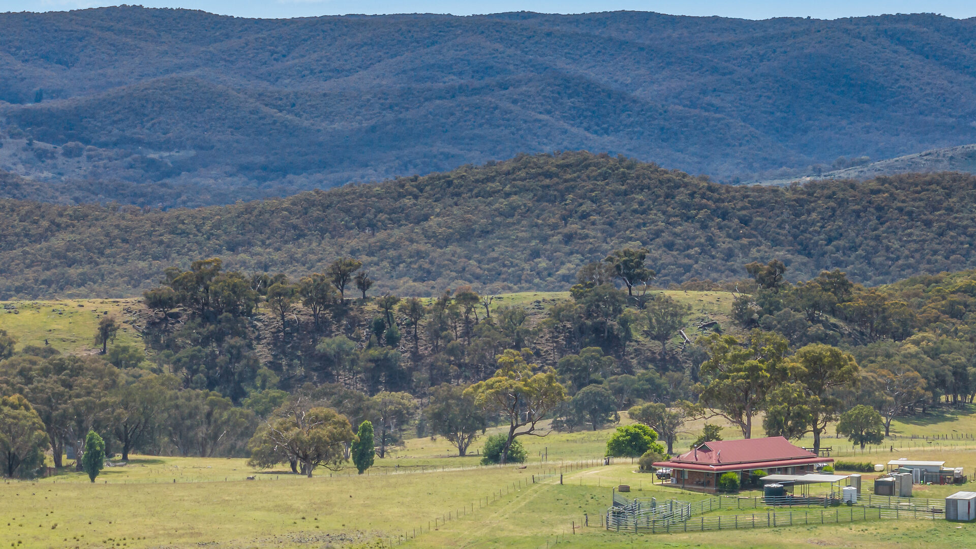 Sold - 2364 Ophir Road - New Property in Orange - Real Estate by Scott Petersen