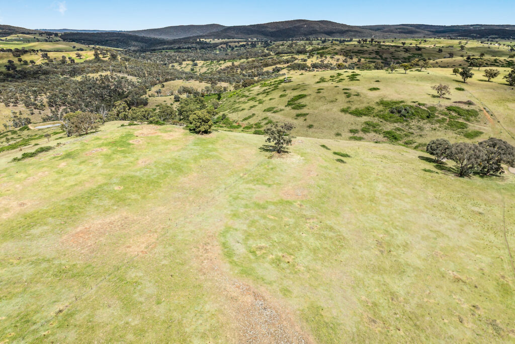 Sold - 2364 Ophir Road - New Property in Orange - Real Estate by Scott Petersen