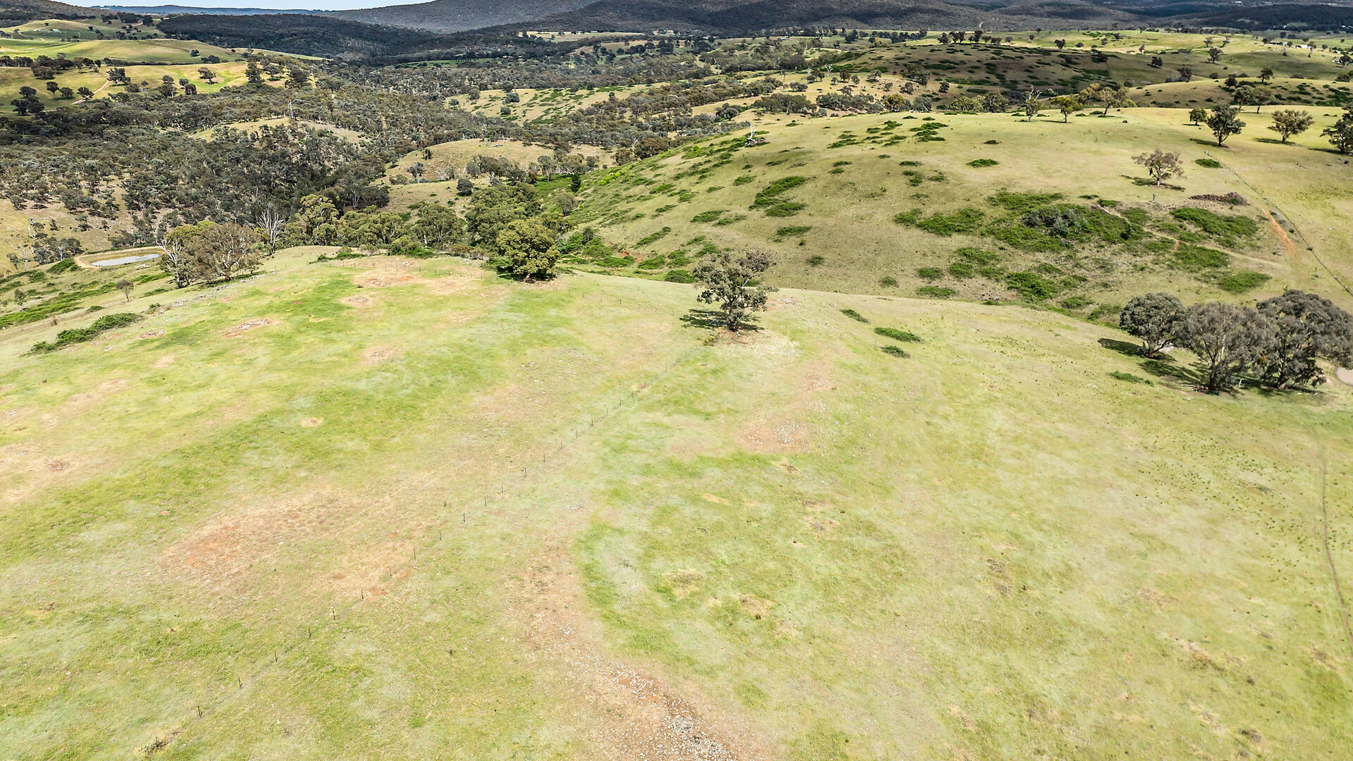 Sold - 2364 Ophir Road - New Property in Orange - Real Estate by Scott Petersen