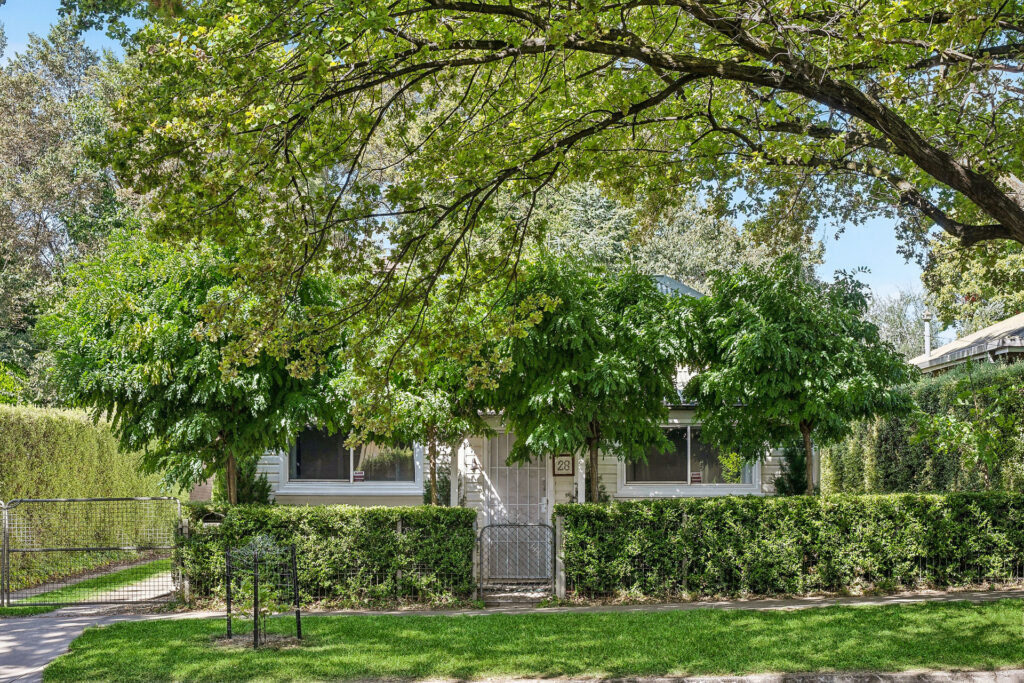Sold - 28 Autumn Street - New Property in Orange - Real Estate by Jack Aumuller