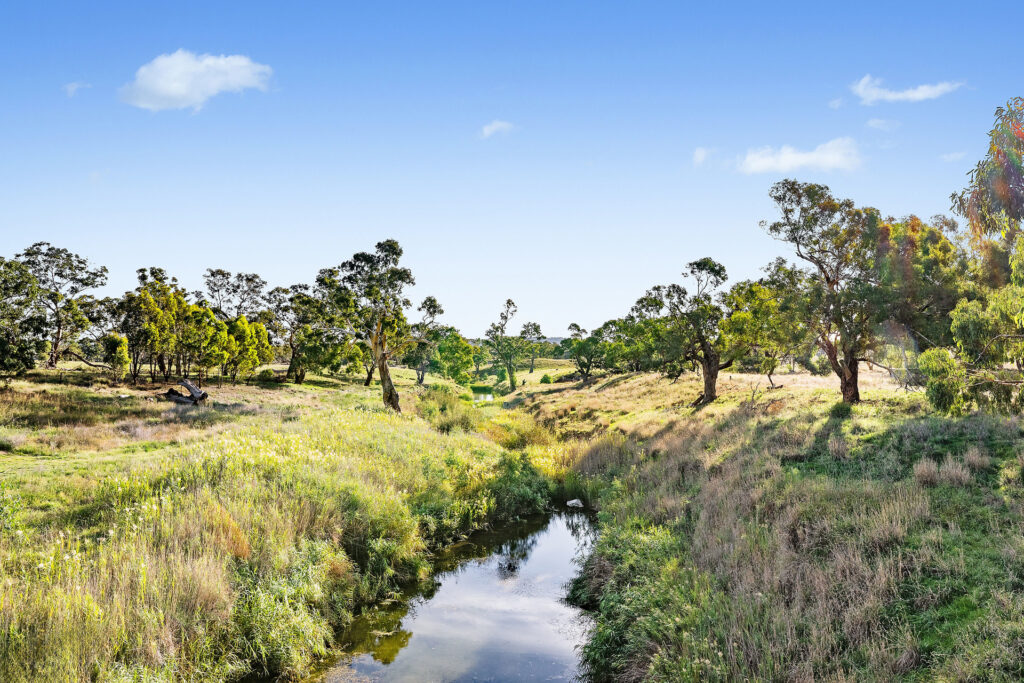 Sold - 384 Yellowbox Road - New Property in Manildra - Real Estate by Jodi Murray
