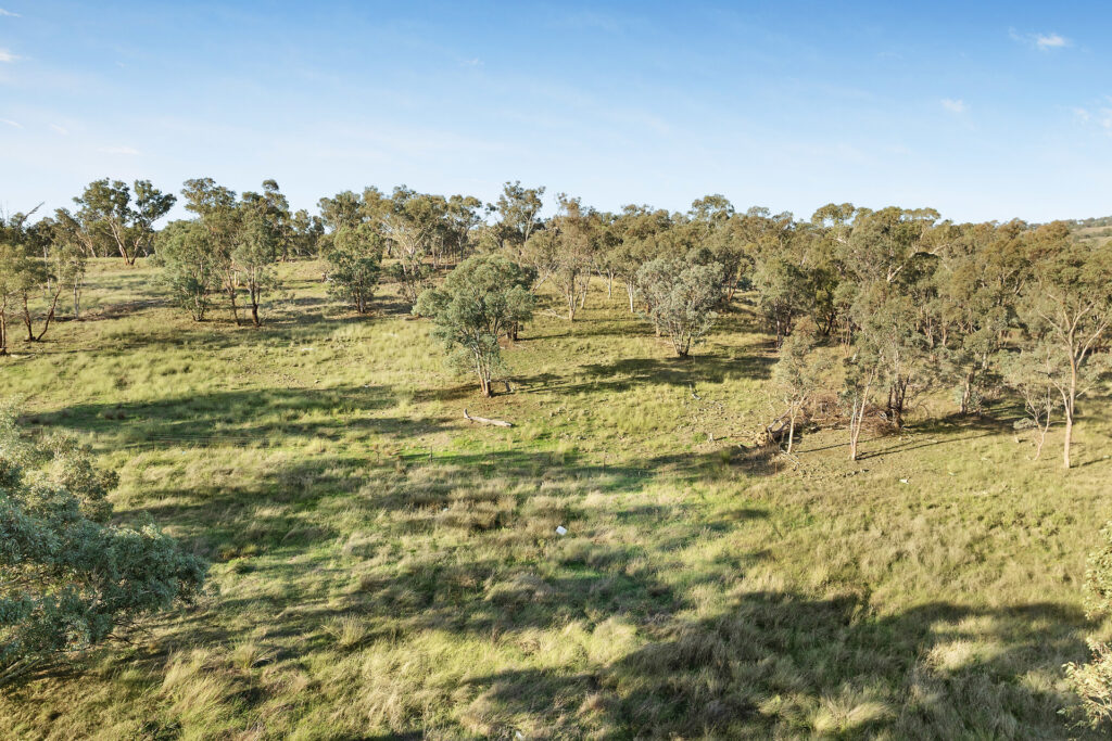 Sold - 384 Yellowbox Road - New Property in Manildra - Real Estate by Jodi Murray