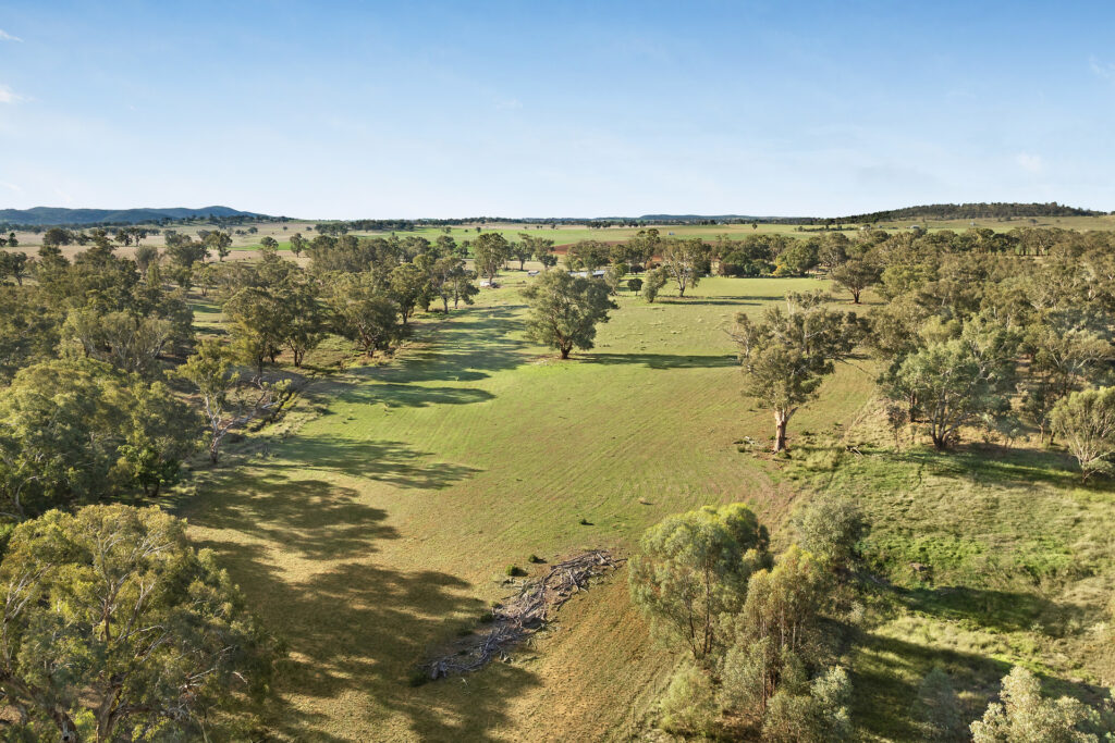 Sold - 384 Yellowbox Road - New Property in Manildra - Real Estate by Jodi Murray