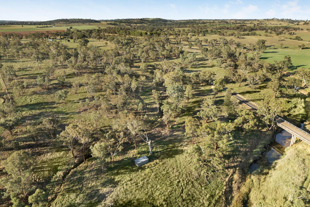 Sold - 384 Yellowbox Road - New Property in Manildra - Real Estate by Jodi Murray
