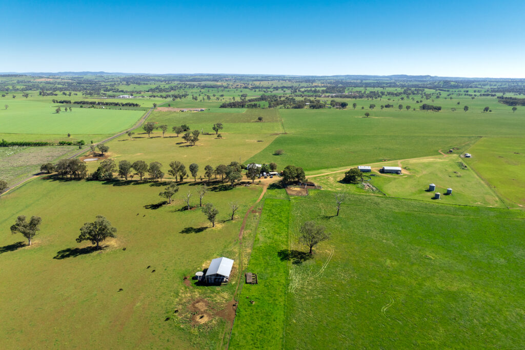 For Sale - 1097 Davys Plains Road - New Property in Cudal - Real Estate by Scott Petersen