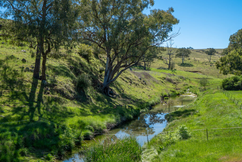 For Sale - 1097 Davys Plains Road - New Property in Cudal - Real Estate by Scott Petersen